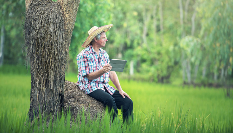 Rolnik w słomianym kapeluszu siedzi pod drzewem, w ręku trzyma tablet. Dookoła jest dużo zieleni.
