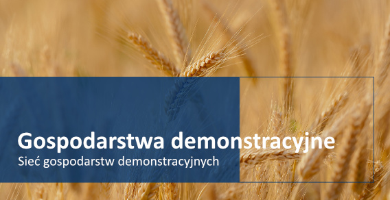 Zdjęcie do artykułu Sieć Gospodarstw Demonstracyjnych - Wielkopolski Ośrodek Doradztwa Rolniczego w Poznaniu