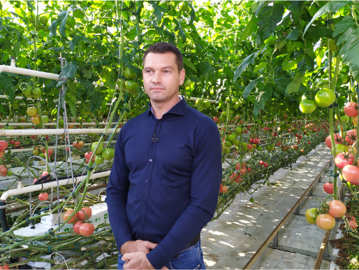 Wnętrze szklarni. Młody mężczyzna, Ernest Kaźmierczak, stoi między pnączami, na których rosną pomidory.