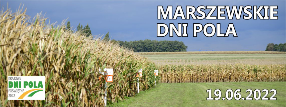 Baner promujący Marszewskie Dni Pola. Na tle zdjęcia uprawy kukurydzy widać napis Marszewskie Dni Pola i datę 19.06.2022