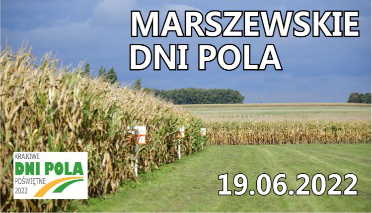 Baner promujący Marszewskie Dni Pola. Na tle zdjęcia uprawy kukurydzy widać napis Marszewskie Dni Pola i datę 19.06.2022