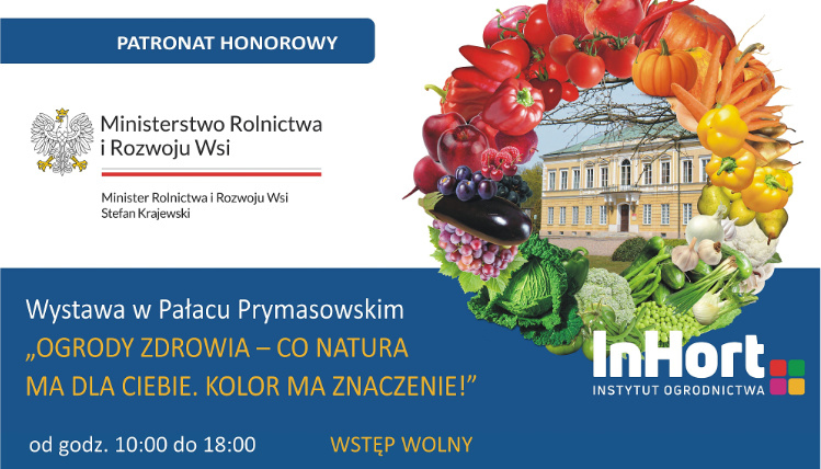 grafika informacyjna