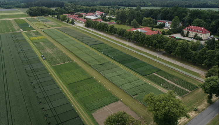 Widok z lotu ptaka na bazę w Sielinku, należącą do Wielkopolskiego Ośrodka Doradztwa Rolniczego w Poznaniu. Widać zielone pola oraz budynki mieszkalne.