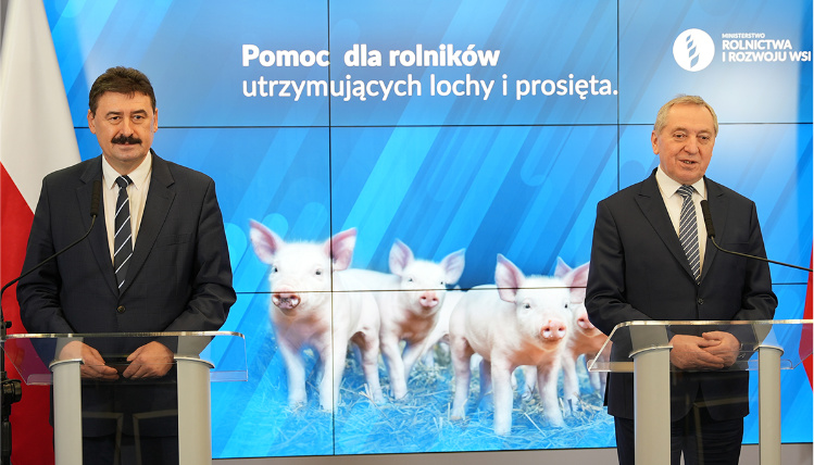Minister Henryk Kowalczyk (z prawej) i wiceminister Ryszard Bartosik (z lewej) na konferencji pasowej (fot. MRiRW) Dwaj mężczyźni w średnim wieku (z prawej Henryk Kowalczyk, z lewej Ryszard Bartosik) stoją przed mównicami. Za nimi jest flaga Polski oraz zdjęcie trzody chlewnej.