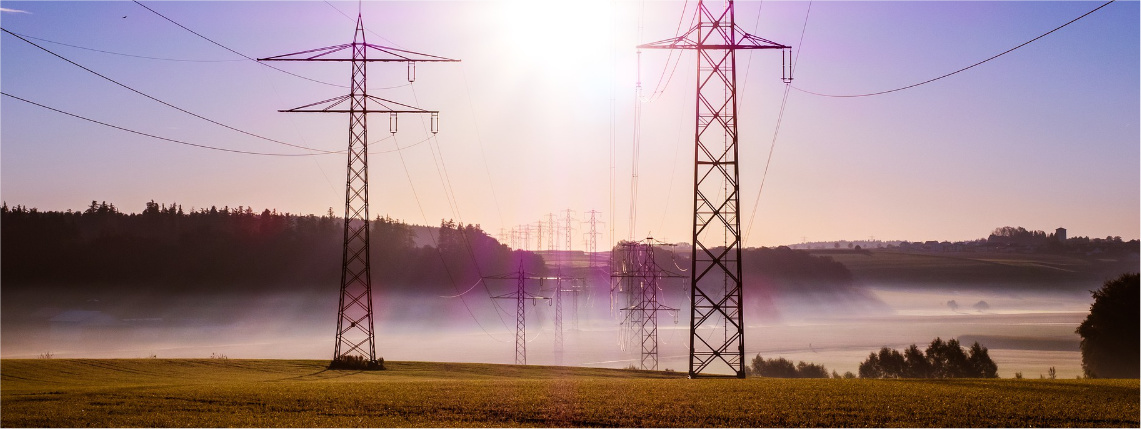 Dwa rzędy słupów energetycznych na polu. Zdjęcie zrobione jest pod słońce. W tle widać zarys lasu.