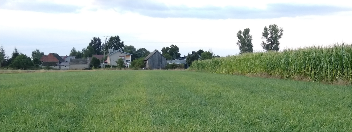 Widok na zadbaną łąkę. Obok na polu rośnie plon, w tle widać domy.