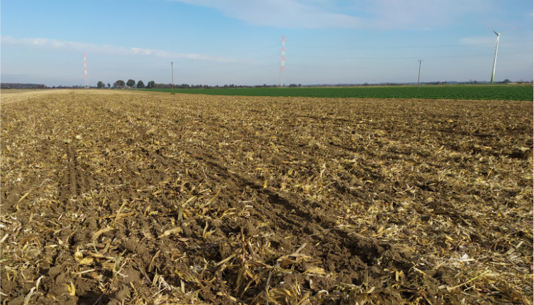 Słoneczny dzień. Szeroki widok na pole ze ścierniskiem, na horyzoncie widać słupy energetyczne.