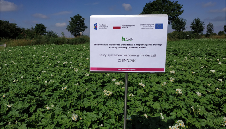 Platforma eDWIN, jako system wspomagania decyzji, testowana była między innymi na polach ziemniaka Słoneczny dzień. Na polu, wśród uprawy ziemniaka, stoi biała tabliczka informująca o teście systemów wspomagania decyzji. Na górze tabliczki są cztery logotypy.