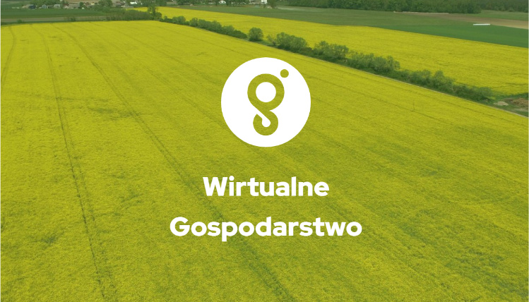 Grafika ukazująca stronę startową wirtualnego gospodarstwa. Na tle zielonego pola widać napis "wirtualne gospodarstwo"