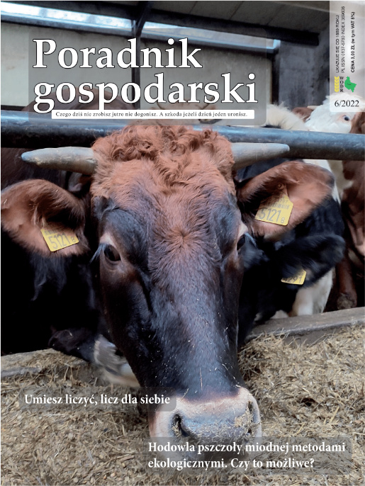 Okładka miesięcznika Poradnik Gospodarski. Całość wypełnia zdjęcie głowy bydła. Na górze jest tytuł miesięcznika, a na dole dwa tytuły artykułów.