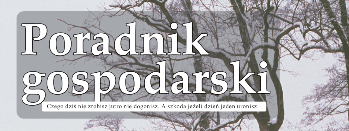 Biały napis Poradnik Gospodarski na tle drzewa bez liści pokrytego śniegiem.
