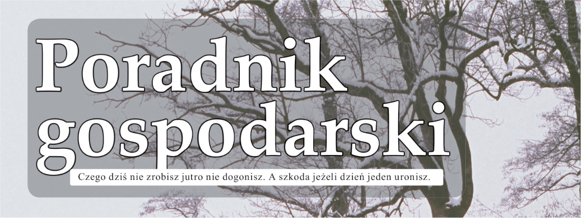 Grudniowy numer Poradnika Gospodarskiego już dostępny! Biały napis Poradnik Gospodarski na tle drzewa bez liści pokrytego śniegiem.