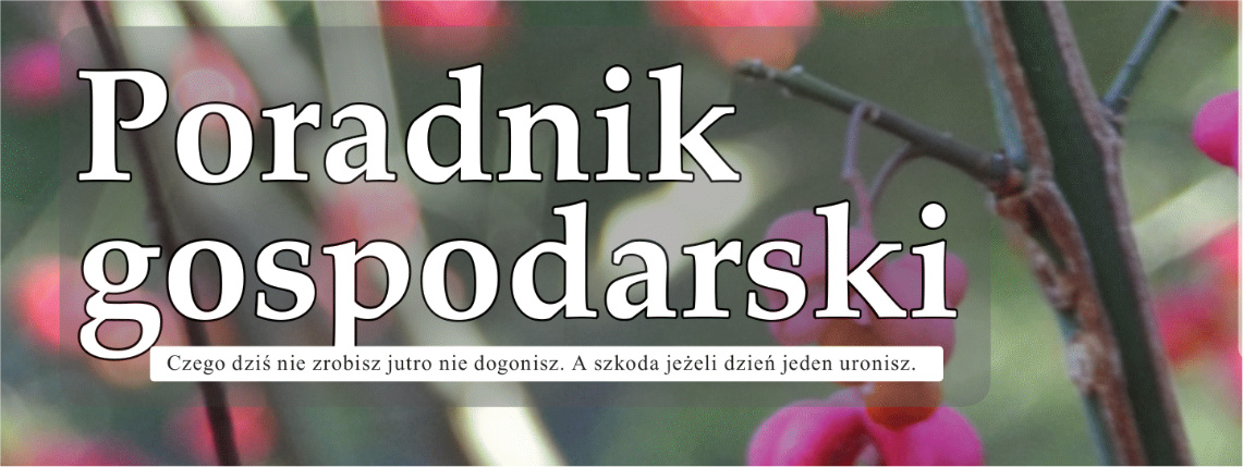 Na tle różowych kwiatków na gałązce znajduje się biały napis Poradnik Gospodarski.