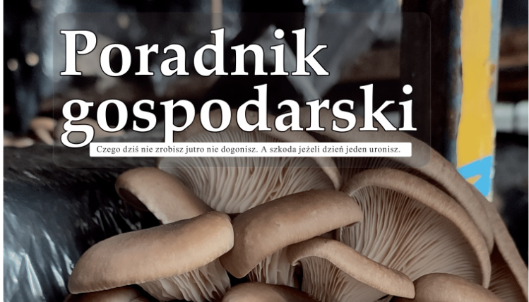 Nowy numer Poradnika Gospodarskiego jest już dostępny Okładka Poradnika Gospodarskiego. Zbliżenie na tytuł i fragment zdjęcia, na którym są grzyby.