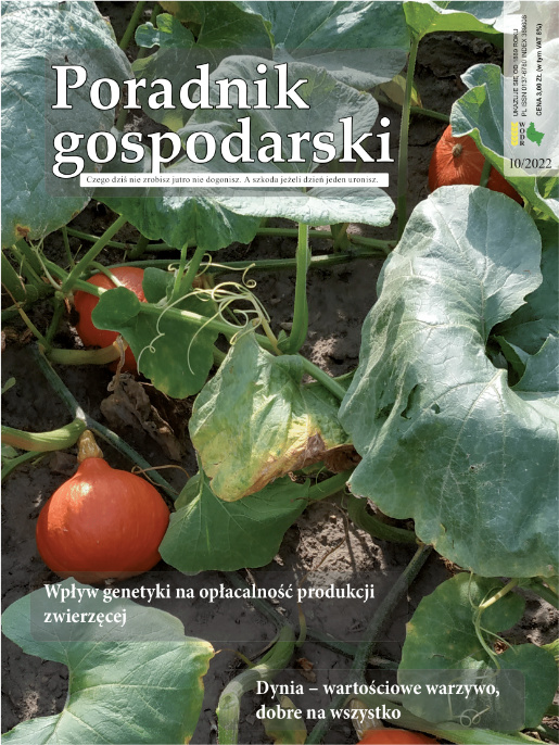 Okładka Poradnika gospodarskiego. Całość wypełnia zdjęcie rosnących małych dyni. Na górze znajduje się tytuł Poradnik Gospodarski. Poniżej jest kilka tytułów z obecnego numeru.