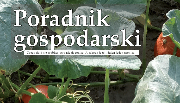 Październikowy numer Poradnika Gospodarskiego już dostępny! Napis Poradnik Gospodarski na tle zielonych liści.