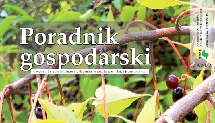 Wakacyjny numer Poradnika Gospodarskiego jest już dostępny Fragment okładki wakacyjnego numeru Poradnika Gospodarskiego. Widać na niej napis Poradnik Gospodarski oraz zdjęcie rośliny w tle.