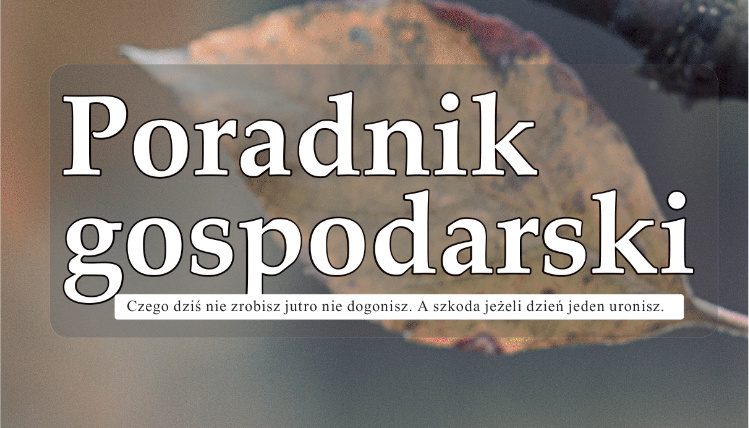 Wrześniowy numer Poradnika Gospodarskiego już dostępny! Tytuł Poradnik Gospodarski na tle liścia.