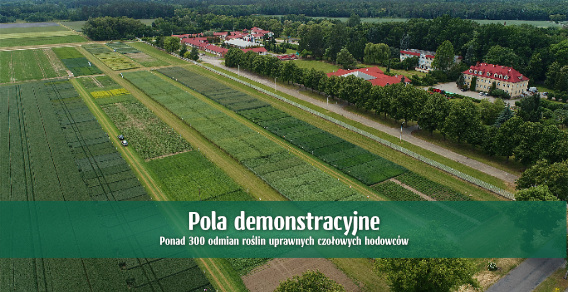 Zdjęcie do artykułu Pola demonstracyjne - Wielkopolski Ośrodek Doradztwa Rolniczego w Poznaniu