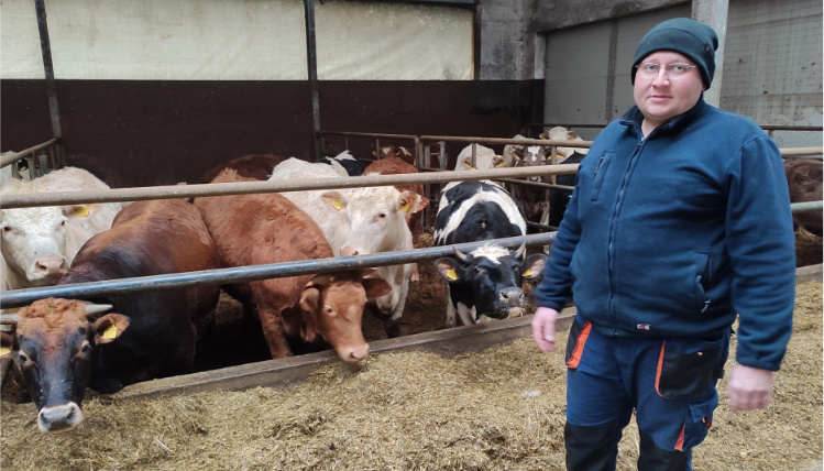 Gospodarstwo Norberta Sieczki specjalizuje się w produkcji zwierzęcej Obora, kojec z bydłem. Przed nim stoi gospodarz, Norbert Sieczka, ubrany w roboczy strój.
