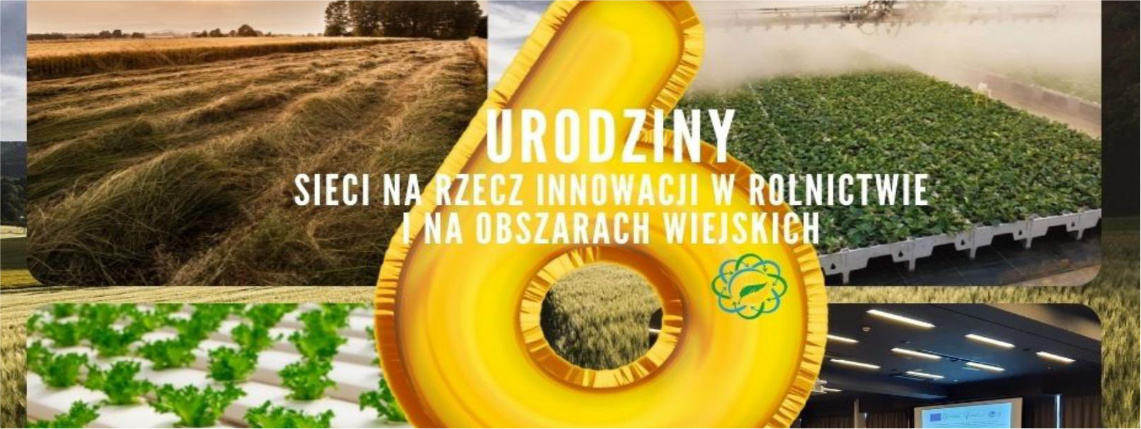 Pierwsza strona broszury o szóstych urodzinach SIR. Na pierwszym  planie jest wielka żółta cyfra 6 i napis "Urodziny Sieci na rzecz innowacji w rolnictwie i na obszarach wiejskich". W tle są różne zdjęcia.