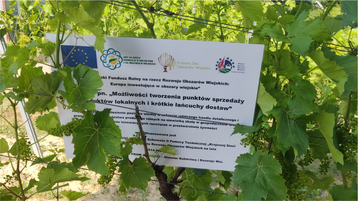 Na liściach winogrod jest biała kartka z logotypami Unii Europejskiej, Sieci na rzecz innowacji w rolnictwie, Krajowej Sieci Obszarów Wiejskich oraz Programu Rozwoju Obszarów Wiejskich. Pod logotypami jest długi tekst.