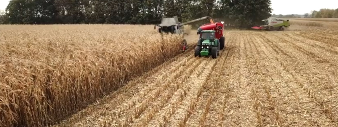 Na polu jedzie zielony ciągnik z czerwoną przyczepą. Obok niego jedzie kombajn, który kosi zboże. W tle widać drzewa.