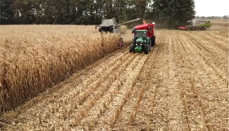 Na polu jedzie zielony ciągnik z czerwoną przyczepą. Obok niego jedzie kombajn, który kosi zboże. W tle widać drzewa.