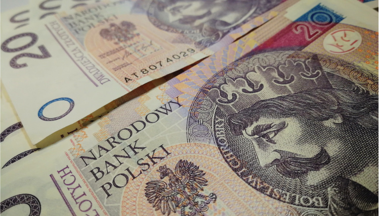 Podstawą uzyskania dofinansowania jest stworzenie grupy rolników, którzy wspólnie dostarczają produkty żywnościowe do konsumentów z wykorzystaniem narzędzi internetowych do działania w ramach krótkich łańcuchów dostaw (zdjęcie ilustracyjne - Pixabay) Zdjęcie ilustracyjne przedstawiające widoczne z góry banknoty o nominałach 20 złotych.