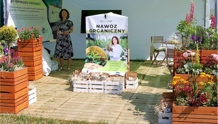 Grupa AgroInsect mogła przedstawić wszystkie zalety wynikające z nowej technologii opartej o kontenerowy systemu tuczu Słoneczny dzień. Na zdjęciu widoczne jest stoisko firmy HiProMine podczas Krajowych Dni Pola. Kobieta w młodym wieku stoi obok rollupu. Na stoisku jest dużo kwiatów.