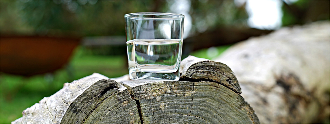 Na pniu stoi szklanka z wodą.