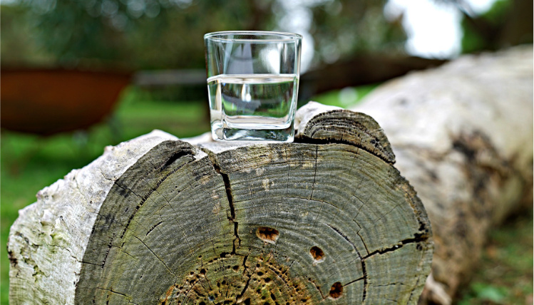 Wodór ma działanie lecznicze (zdjęcie: Pixabay) Na pniu stoi szklanka z wodą.