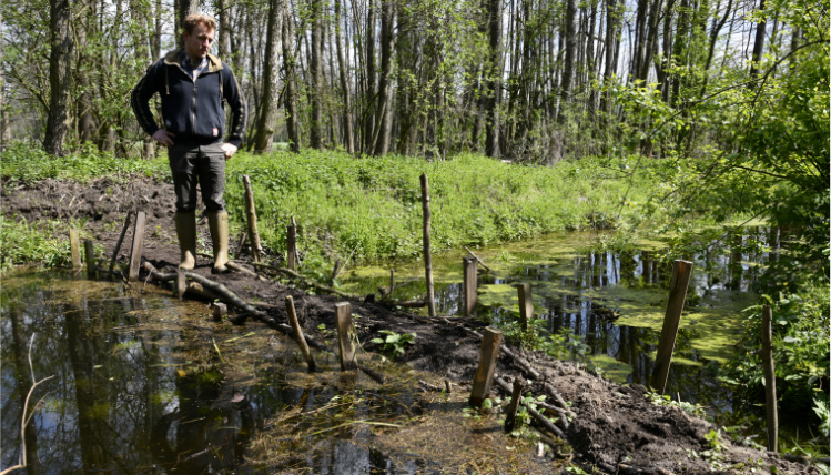 Patryk Kokociński opracował naturalny system retencji wody Mokradła w lesie. Przez wodę przebiega nasyp z utwardzonego gruntu, który tworzy tamę. Wzdłuż ścieżki wbite są małe paliki. Na początku nasypu stoi Patryk Kokociński.