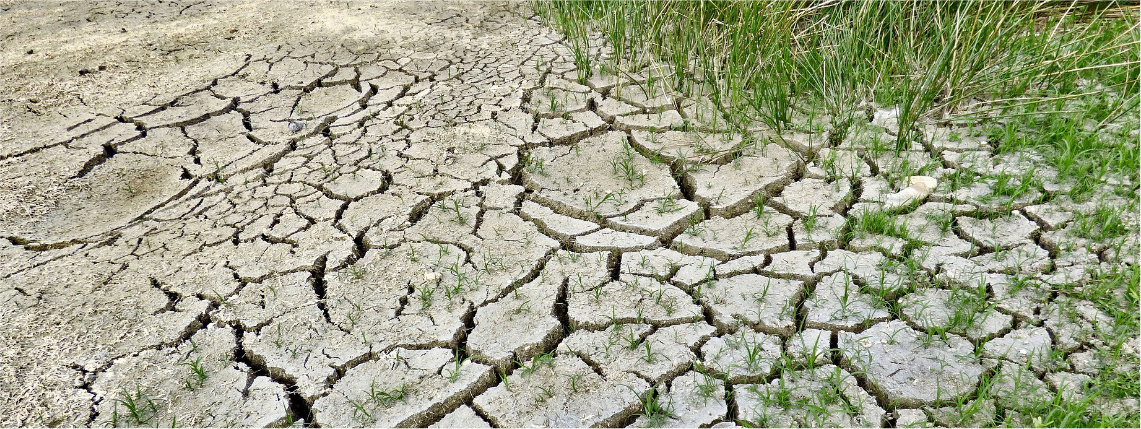 Aplikacja suszowa – kalkulacja albo protokół (zdjęcie: Pixabay) Zbliżenie na fragment popękanej ziemi od suszy. Część jest porośnięta zieloną trawą.