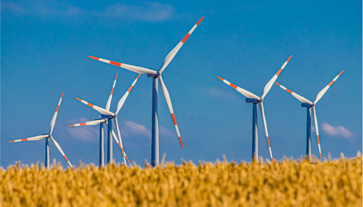 Stosowanie odnawialnych źródeł energii jest coraz powszechniejszym rozwiązaniem (zdjęcie: Pixabay) Nad żółtym polem górują wiatraki od energii odnawialnej.