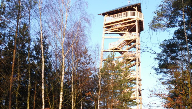 Słoneczny dzień. Na zdjęciu widoczna jest nowa, drewniana wieża widokowa w gminie Osieczna, która stoi w lesie.