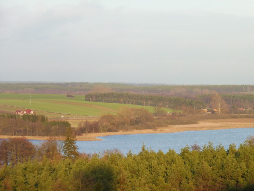 Słoneczny dzień. Widok z wieży widokowej na pobliskie jezioro i lasy.