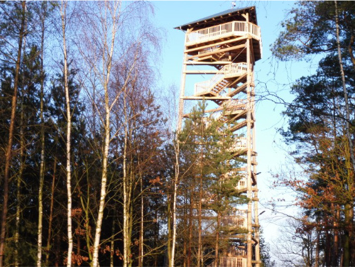Słoneczny dzień.  Na zdjęciu widoczna jest nowa, drewniana wieża widokowa w gminie Osieczna, która stoi w lesie.