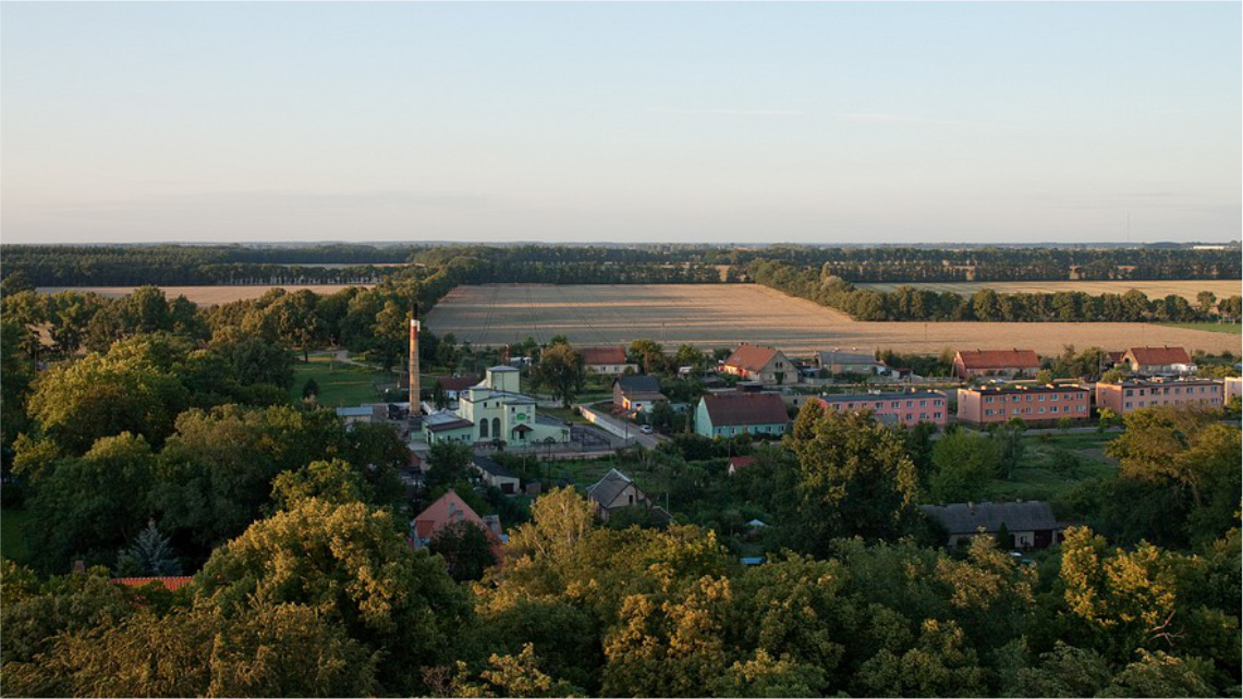 Widok z góry na krajobraz pola oraz gęsto rosnących drzew. Między polem a drzewami są budynki mieszkalne.