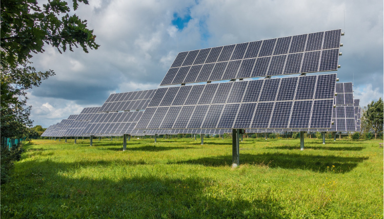 25 stycznia rusza program „Energia dla wsi” (zdjęcie: Pixabay) Słoneczny dzień. Na trawie stoją rzędy paneli fotowoltaicznych. Po lewej stronie jest zacieniona trawa i fragment drzewa.
