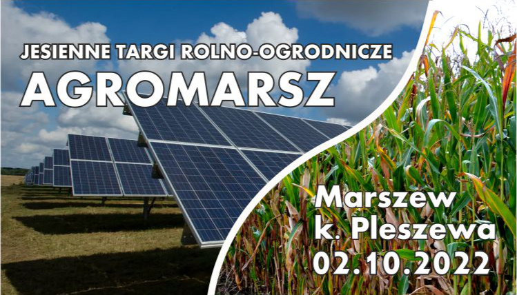 Jesienne Targi Rolno-Ogrodnicze AGROMARSZ już 2 października w Marszewie Grafika podzielona na dwie części. Z lewej strony są panele fotowoltaiczne i napis Jesienne Targi Rolno-Ogrodnicze AGROMARSZ, a z drugiej zdjęcie pola kukurydzy i napis Marszew k. Pleszewa 02.10.2022.