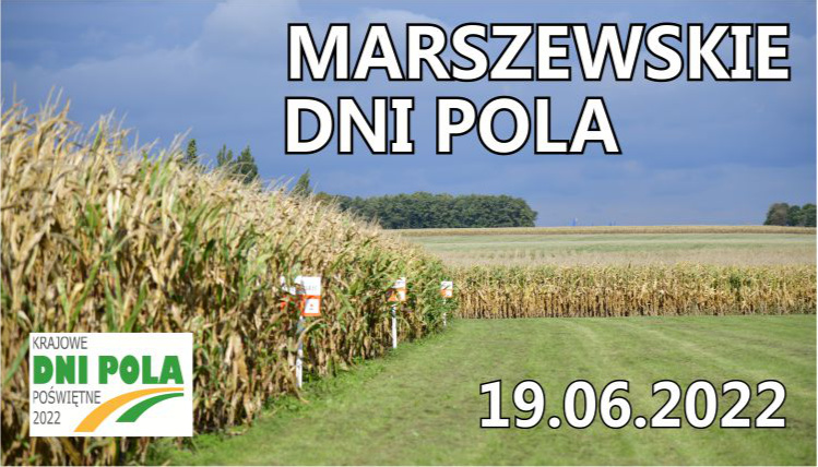 Marszewskie Dni Pola odbędą się 19 czerwca Baner promujący Marszewskie Dni Pola. Na tle zdjęcia uprawy kukurydzy widać napis Marszewskie Dni Pola i datę 19.06.2022