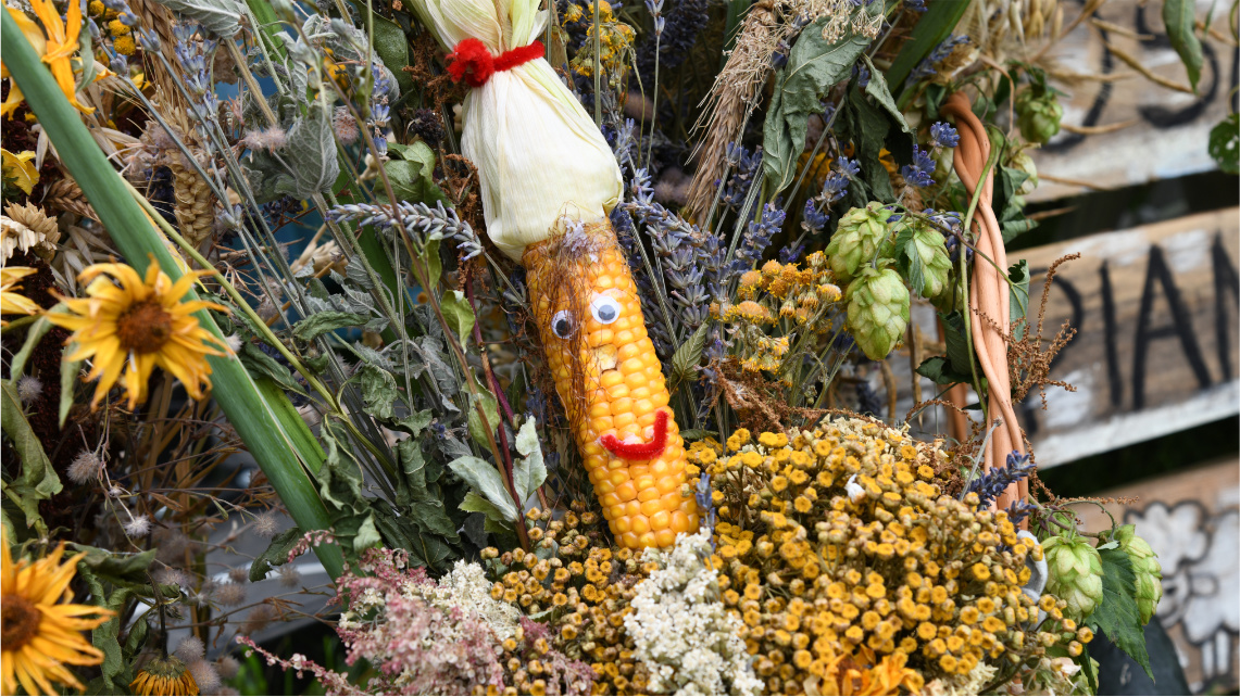 Zbliżenie na udekorowaną kukurydzę, na której narysowano uśmiechniętą buźkę. Kukurydza jest położona w bukiecie suszonych kwiatów.