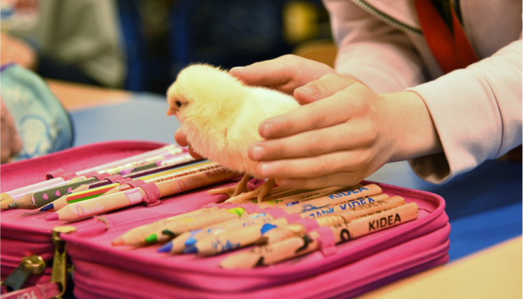 Lekcja polskiej wsi. Edukacyjny program Wielkopolskiego Ośrodka Doradztwa Rolniczego w Poznaniu - WODR