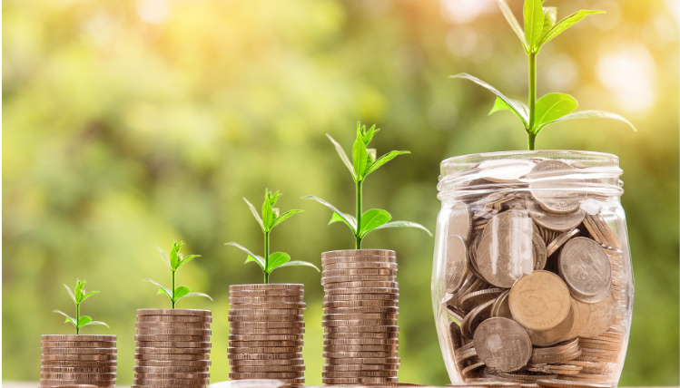 Nowością w WPR na latach 2023 -2027 jest wsparcie dla małych gospodarstw z uprawami ekologicznymi o powierzchni użytków rolnych nie większej niż 10 hhektarów Rysunek ilustracyjny - rośliny i pieniądze na stole