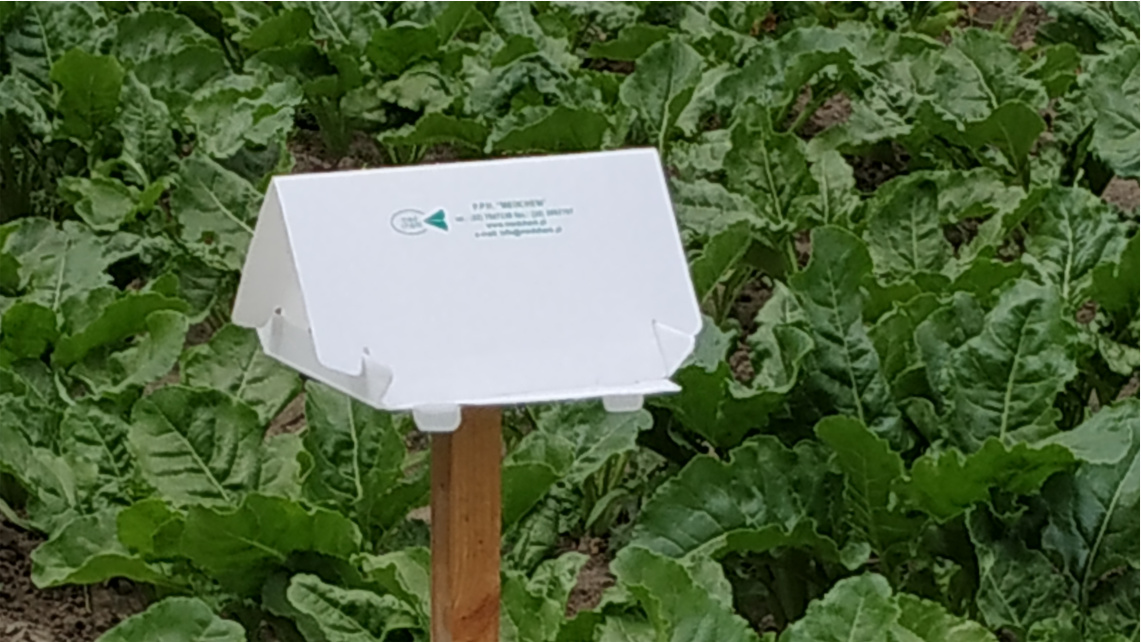 Narzędzia wspomagające monitoring agrofagów Zdjecie 1: Złote naczynie w rzepaku