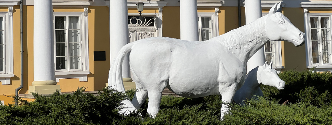 Zdjecie Naglowka: Pomnik koni przed pałacem