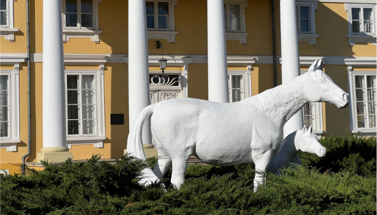 Racot, nie tylko stadnina Pomnik koni przed pałacem