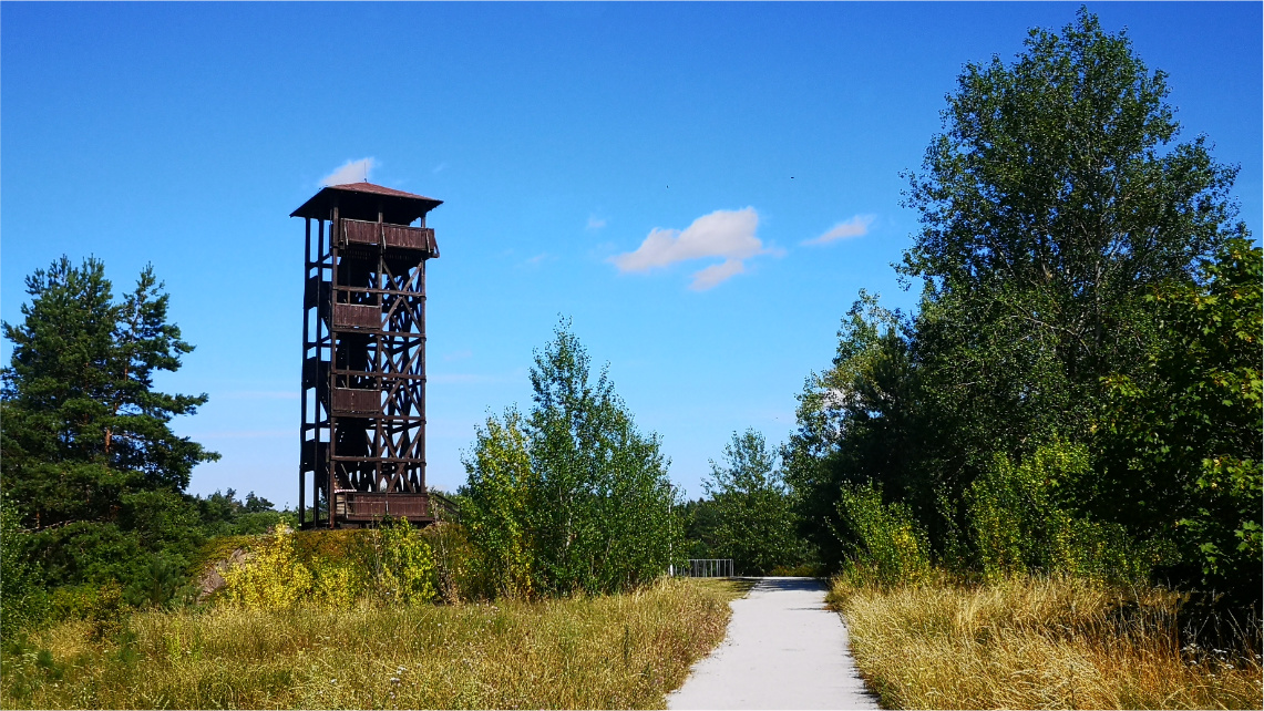 Słoneczny dzień. Na porośniętym terenie stoi drewniana wieża widokowa.