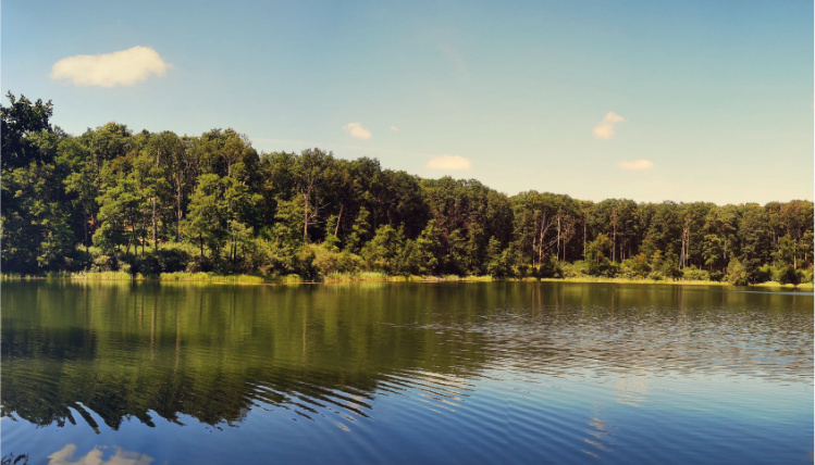 Widok na jezioro, wokół którego rośnie las. Słoneczny dzień.